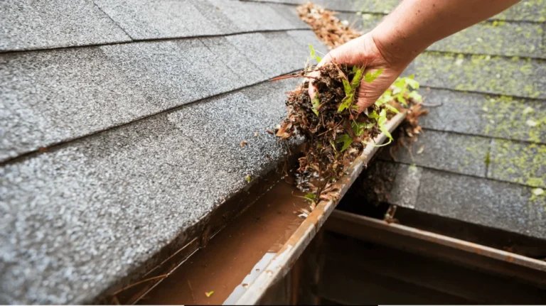 Gutter Cleaning