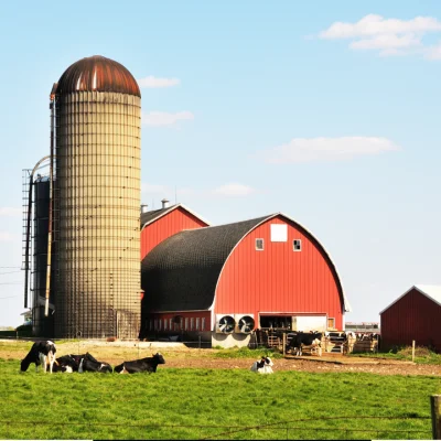 Dairy Farm & Cowshed Cleaning