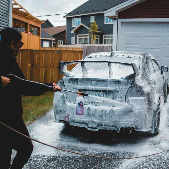 Car Grooming Hamilton