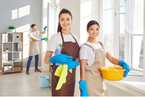 Regular Domestic Cleaning