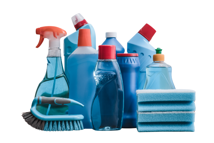Cleaning Doctor team performing regular clean with eco-friendly products