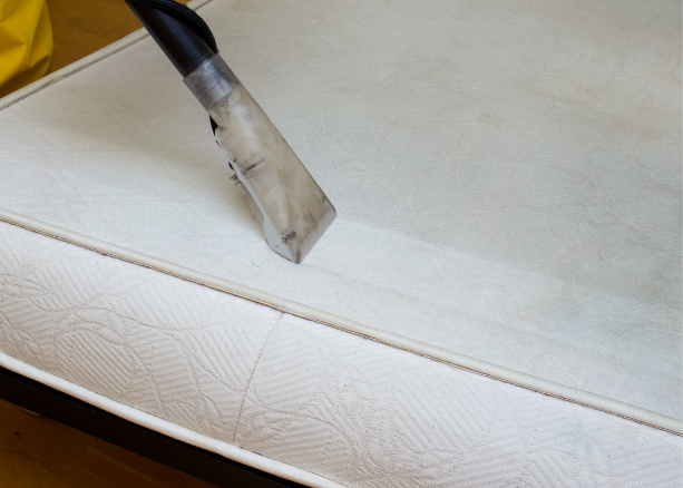 Cleaning Doctor technician steam-cleaning queen mattress—eliminating dust mites, allergens, and stains for a healthier sleep.