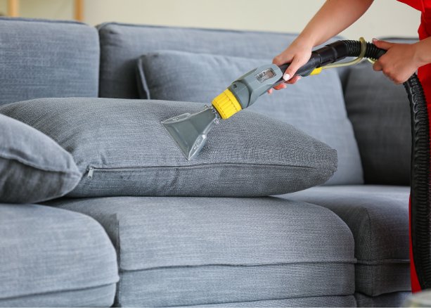 Technician treating lounge suite with eco-friendly, pet-safe products—lifting embedded dirt and deodorising fabric surfaces.