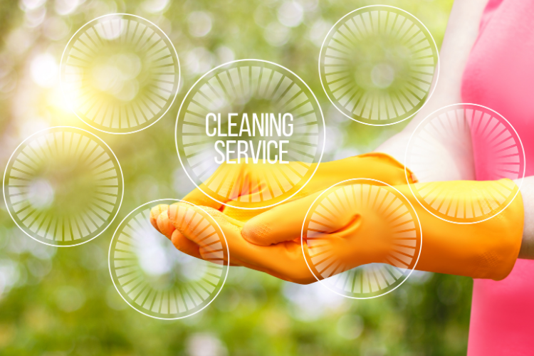 Trusted Hamilton house cleaners delivering eco-friendly residential cleaning services with reliable results across Waikato homes.